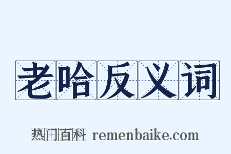 老哈反义词是什么意思的图片